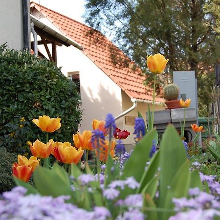 Maya Guesthouse Eger Luaran gambar