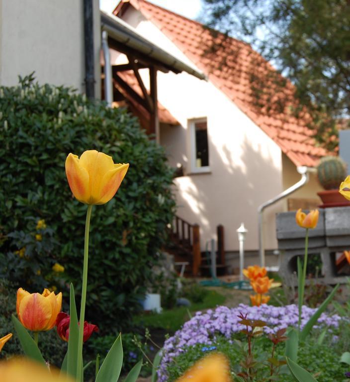 Maya Guesthouse Eger Luaran gambar