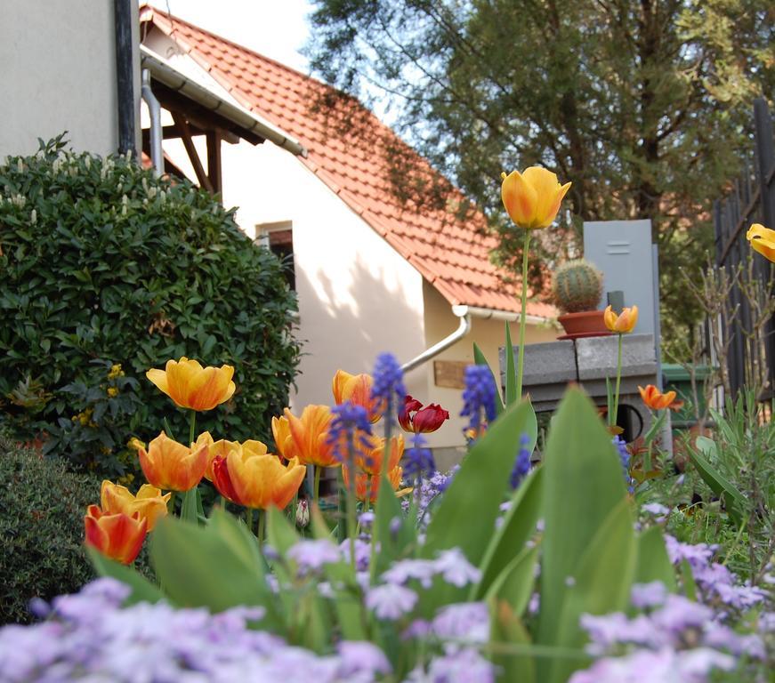 Maya Guesthouse Eger Luaran gambar